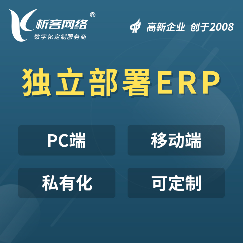 定制ERP系统：为企业量身打造管理解决方案